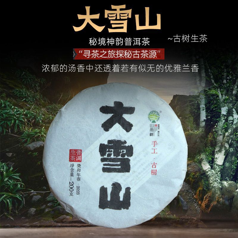 普洱生茶大雪山生普饼茶200g 云南生普茶饼古树纯料春茶茶叶批发